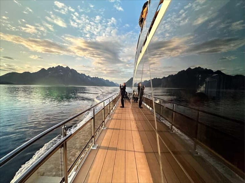 Tromsø: Summer Arctic Light Cruise with a Guide - An Honest Look at the Experience