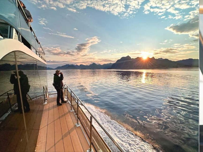 Tromsø: Summer Arctic Light Cruise with a Guide - Value & Practical Considerations