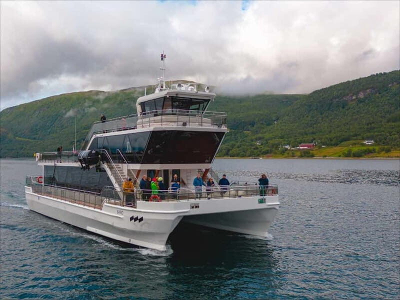 Tromsø: Summer Arctic Light Cruise with a Guide - Final Words