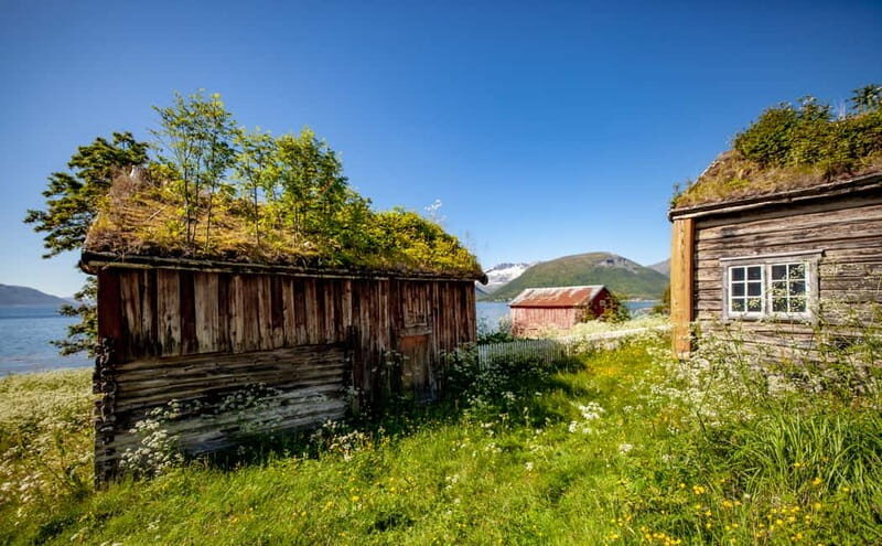 Tromsø: Summer Fjord Road Trip with Citizen Science - Pricing and Value