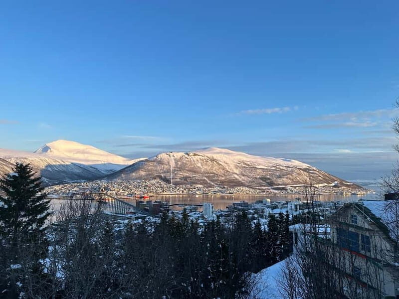 Tromsø: The View Panoramic Scenery and Local Delights - The Setting and Location – A Hidden Gem with a View