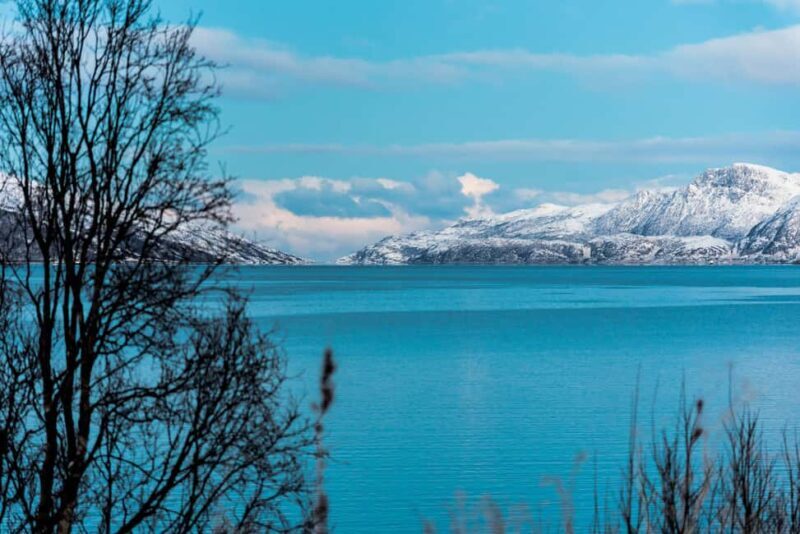 Tromso: Visit 5 Fjords in 4 hours - Is It Worth the Price?