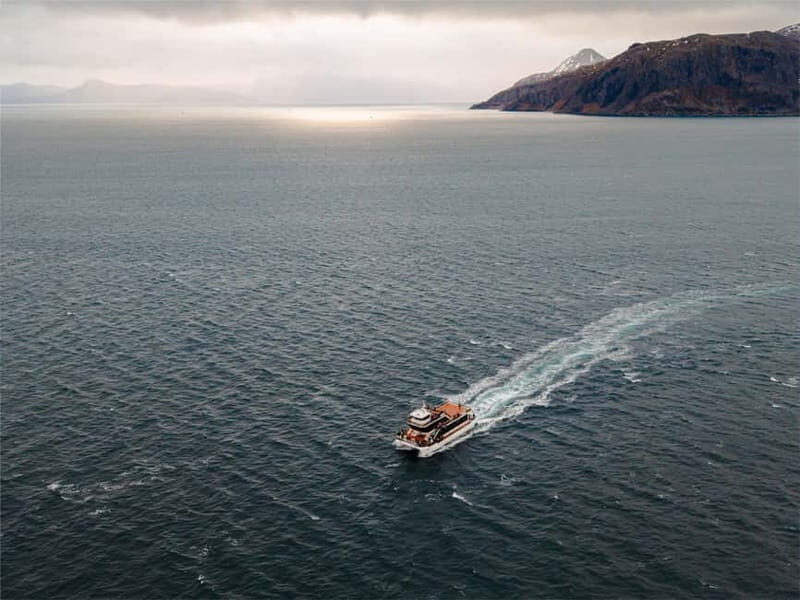 Tromsø: Whale Watching on hybrid boat with scenic bustrip - Frequently Asked Questions