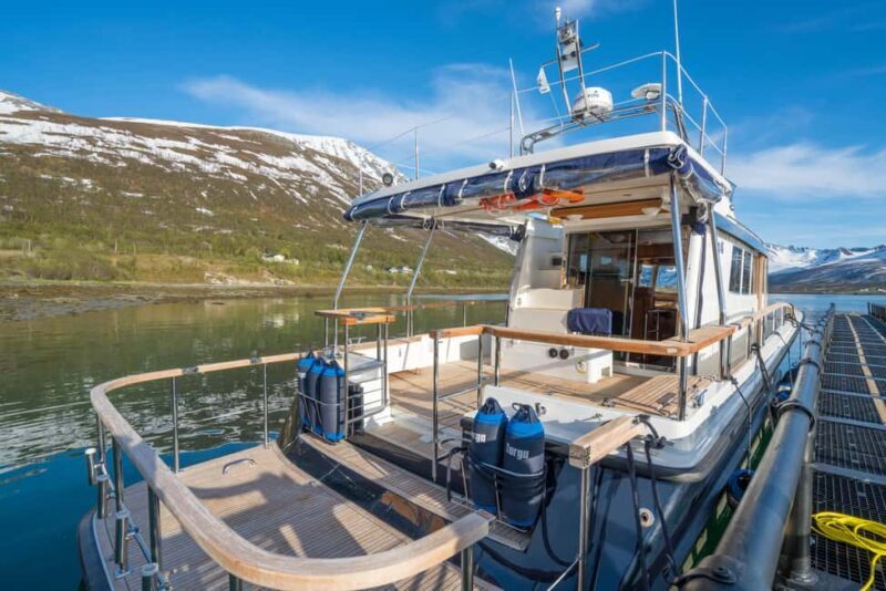 Tromsø: Whale Watching VIP Boat Tour with Lunch - FAQ