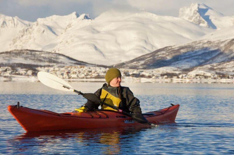 Tromsø: Winter Sea Kayaking Tour with Wildlife Sightings - Introduction: An Arctic Adventure for Nature Lovers