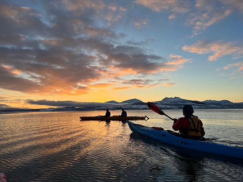 Tromsø: Winter Sea Kayaking Tour with Wildlife Sightings - The Itinerary in Detail