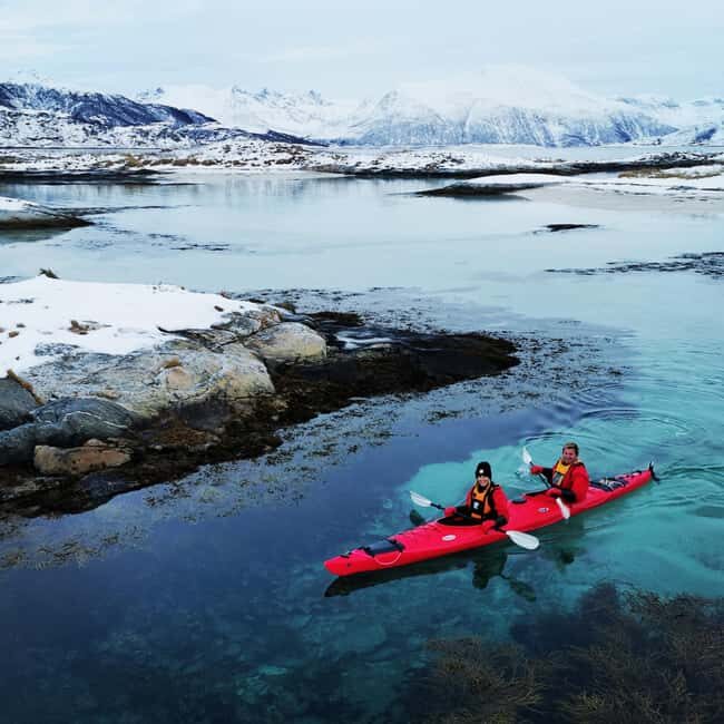 Tromsø: Winter Sea Kayaking Tour with Wildlife Sightings - Practical Details and Considerations