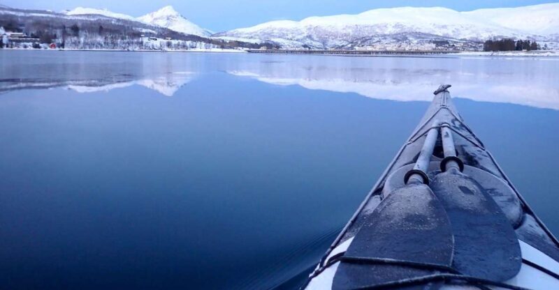 Tromsø: Winter Sea Kayaking Tour with Wildlife Sightings - The Sum Up: Who Will Love This Tour?