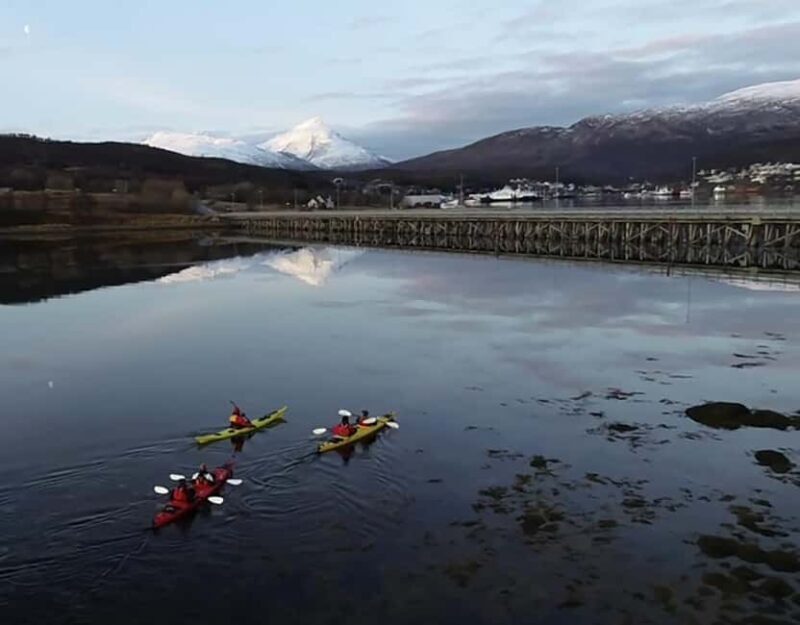 Tromsø: Winter Sea Kayaking Tour with Wildlife Sightings - FAQ