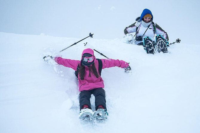 Tromsø: Winter Snowshoeing with Wandering Owl - What You Can Expect from the Tour
