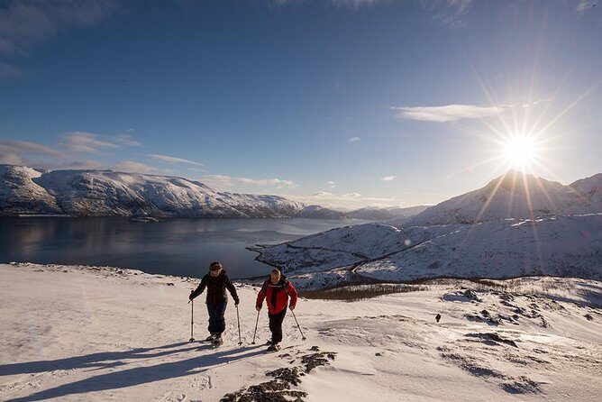 Tromsø: Winter Snowshoeing with Wandering Owl - Who Should Book This Tour?