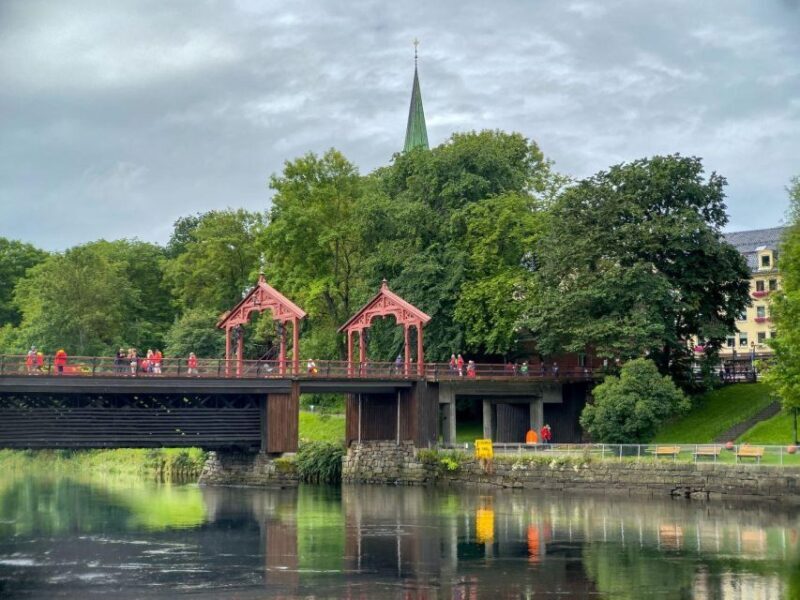 Trondheim: City Highlights Bus and Walking Tour - Who Should Consider This Tour?