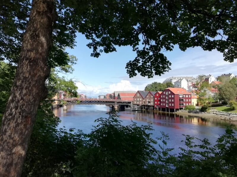 Trondheim : Explore the city of kings with a local guide - Exploring Trondheim: A Guided Journey Through Norway’s City of Kings