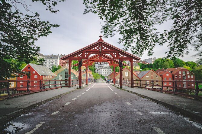 Trondheim Private Walking Tour - A Deep Dive into the Trondheim Private Walking Tour