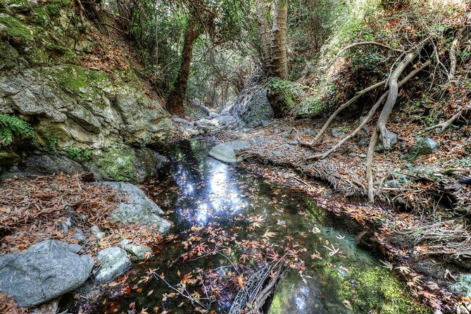 Troodos Jeep Safari from Protaras,Ayia napa & Larnaca - The Sum Up