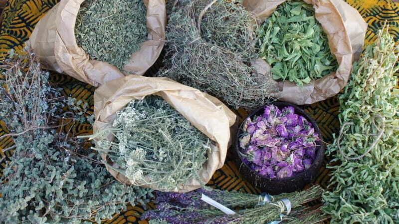 Troodos Villages and Kykkos Monastery from Paphos in Polish - In-Depth Review of the Troodos Villages and Kykkos Monastery Tour