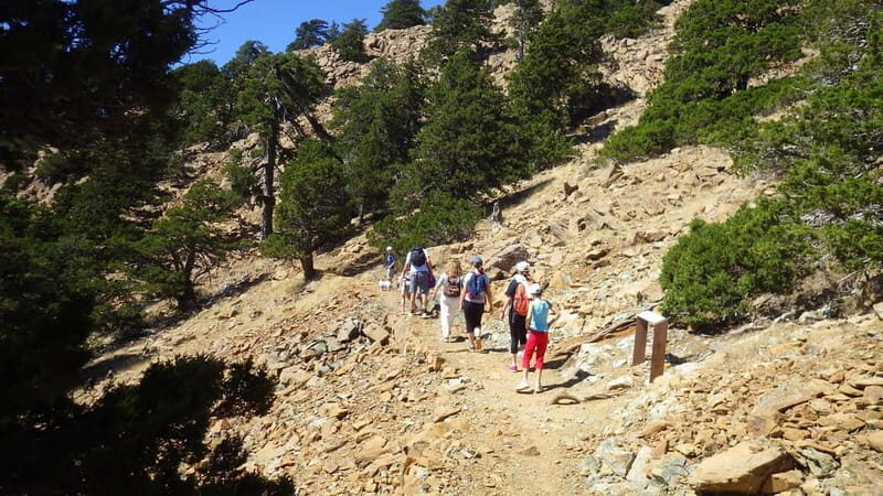 Troodos walking trip - Discover the Beauty of Cyprus with the Troodos Walking Trip