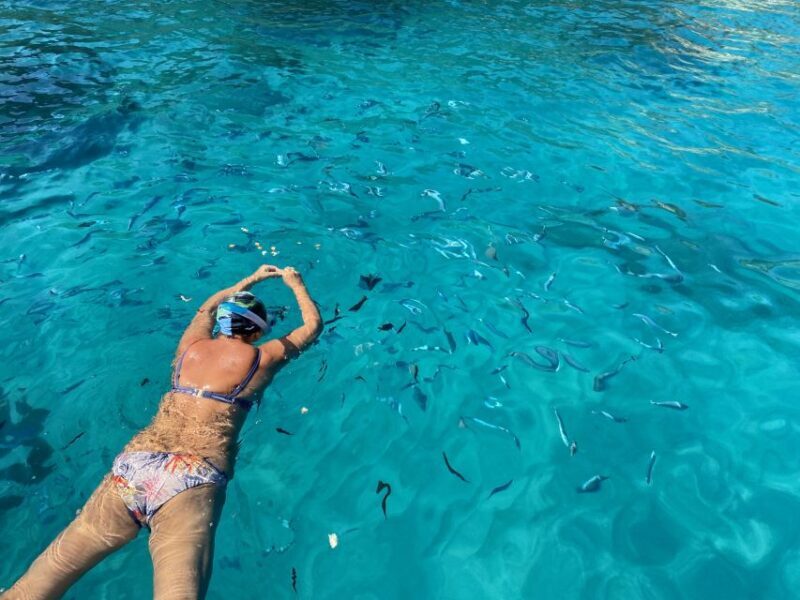 Tropea: Capo Vaticano Boat Trip with Snorkeling & Drink - The Bottom Line