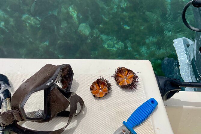 Tropea private boat tour - Final Thoughts