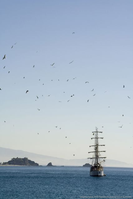 Tropical Coast and Caves of Nerja Day Tour from Granada - Final Thoughts