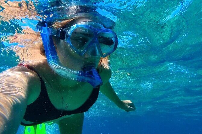 Tropical Dunk Island Half Day Activity from Mission Beach - Why You’ll Love This Dunk Island Tour