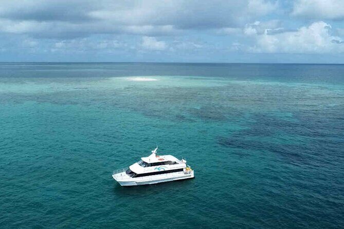 Tropical Dunk Island Half Day Activity from Mission Beach - Who Will Love This Tour?