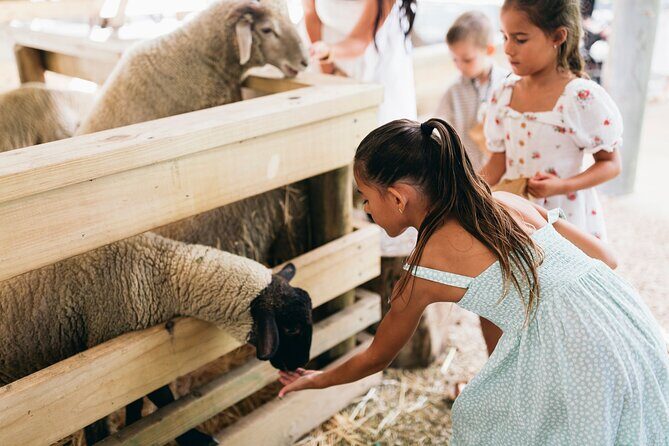 Tropical Fruit World Farm Full Tour - Analyzing the Value