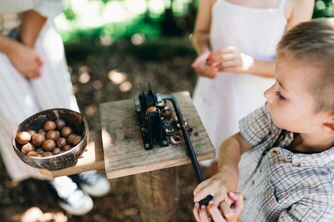 Tropical Fruit World Farm Full Tour - Frequently Asked Questions (FAQ)