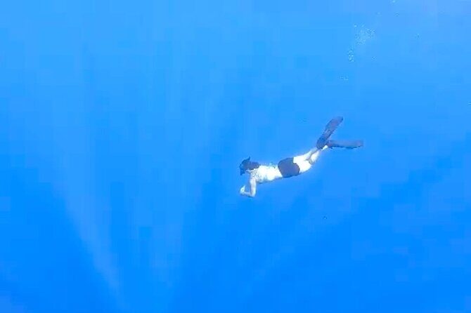 Tropical Reef & Wildlife Boat Snorkel Adventure - FAQ