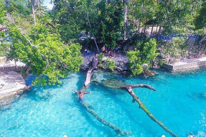 Tropical Splash Tour - A Closer Look at the Tropical Splash Tour