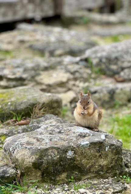 Troy: Full-Day Tour from Istanbul - Key Points