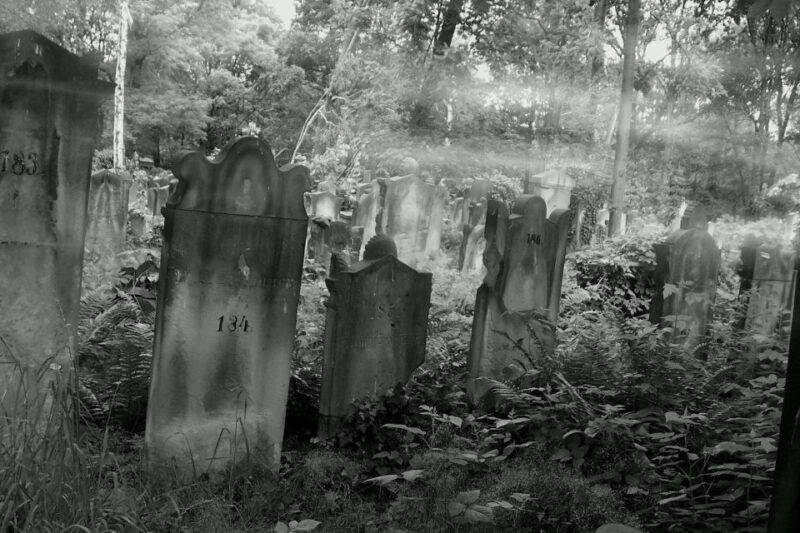 True Crime Philadelphia and History Tour - FAQ