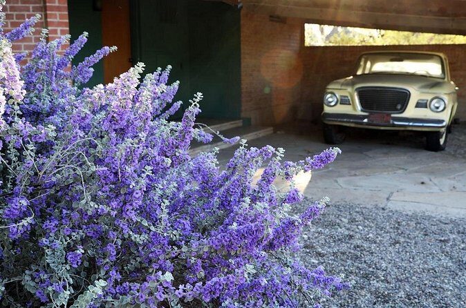 True Crime Walking Tour in Tucson's Historic Blenman-Elm - Final Thoughts