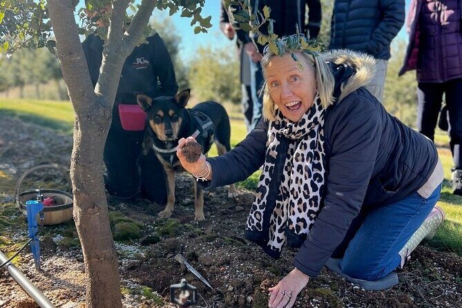 Truffle Hunt and Taste Experience in Oberon, NSW Australia - Why This Tour Is Worth Considering
