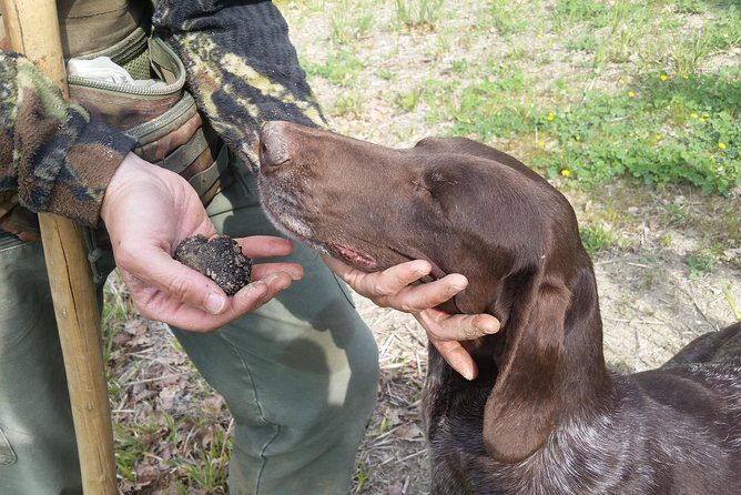 Truffle Hunt & Bio Lunch in Assisi - Exploring the Truffle Hunt & Bio Lunch Experience