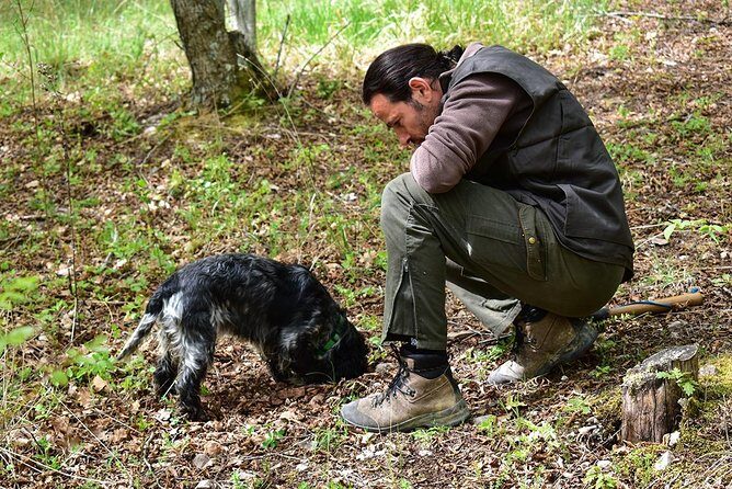 Truffle Hunt & Bio Lunch in Assisi - Who Would Enjoy This Tour?