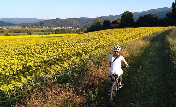 Truffle hunt in Chianti with cooking class and sunset dinner - Sunset Dinner: Savoring Tuscan Flavors with a View