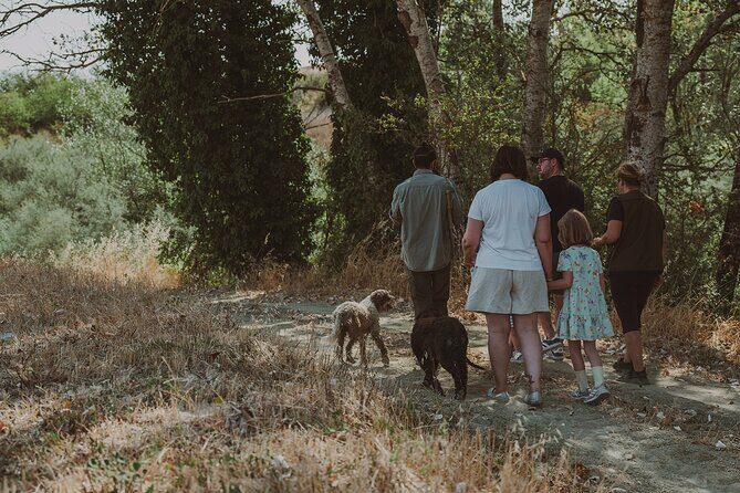 Truffle Hunt in Tuscany - An In-Depth Look at the Truffle Hunt Experience
