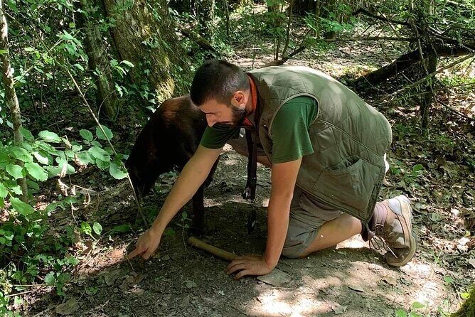 Truffle hunting adventure - Truffle Hunting Adventure in Rovinj, Croatia: A Detailed Review