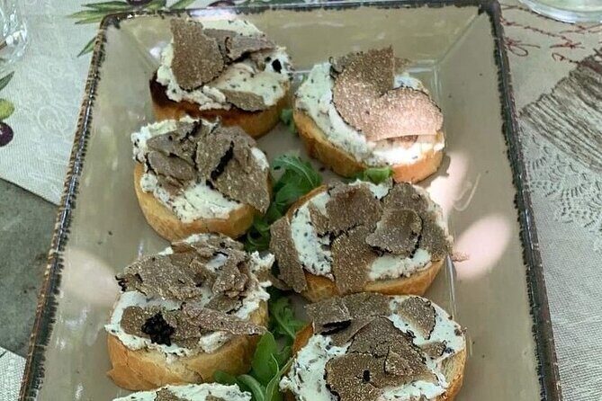 Truffle hunting adventure - Final Thoughts on the Truffle Hunting Experience