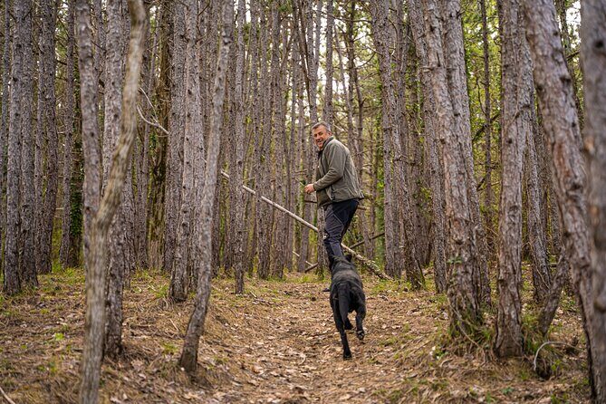 Truffle Hunting and 3-course Truffle Brunch in Motovun - Discovering the Hidden Gems of Istria: Truffle Hunting and 3-Course Truffle Brunch in Motovun