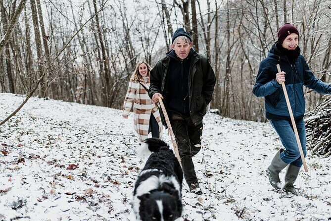 Truffle Hunting and Cheese, Truffle & Wine Tasting near Alba - Who Should Consider This Tour?