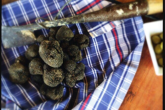 Truffle Hunting and Handmade Pasta in Ascoli Piceno - Final Thoughts: Who Should Consider This Tour?