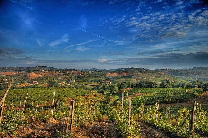 Truffle hunting and lunch experience, with Vinci and winery. - Frequently Asked Questions