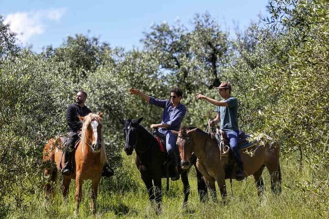 Truffle Hunting and Tasting in San Gimignano with a Tuscan Lunch - Why the Experience Is Worth It
