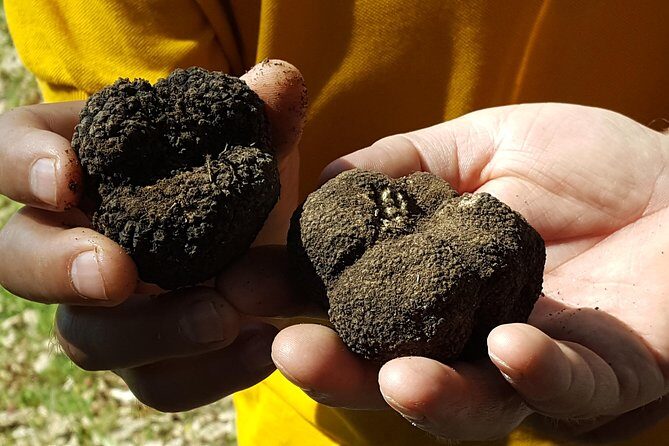 Truffle Hunting at Meteora - The Sum Up