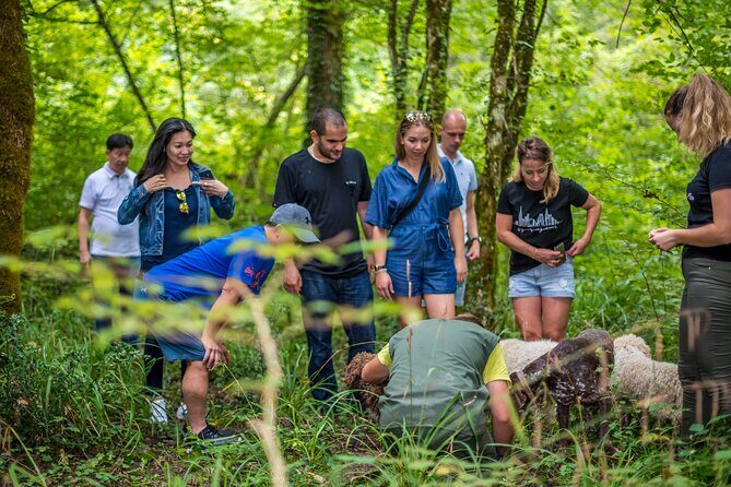 Truffle hunting & cooking tour - Final Thoughts: Who Will Love This Tour?