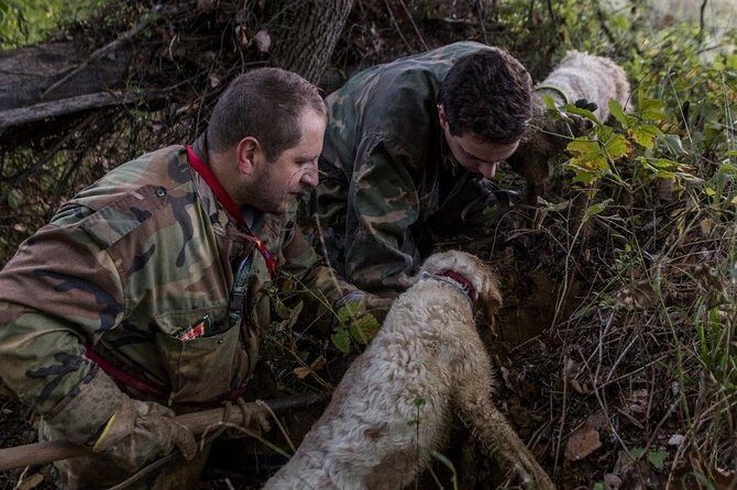 Truffle hunting - Key Points