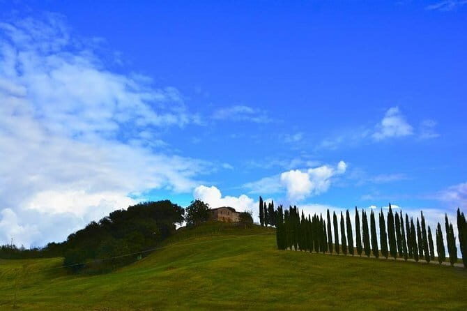 Truffle hunting experience with lunch and Chianti wine tasting - Who is This Tour Best Suited For?