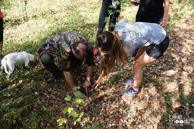 Truffle hunting + gourmet tasting (transfer included) - An In-Depth Look at the Experience